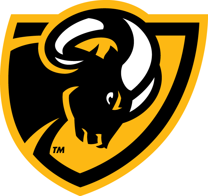 Virginia Commonwealth Rams 2014-Pres Secondary Logo DIY iron on transfer (heat transfer)